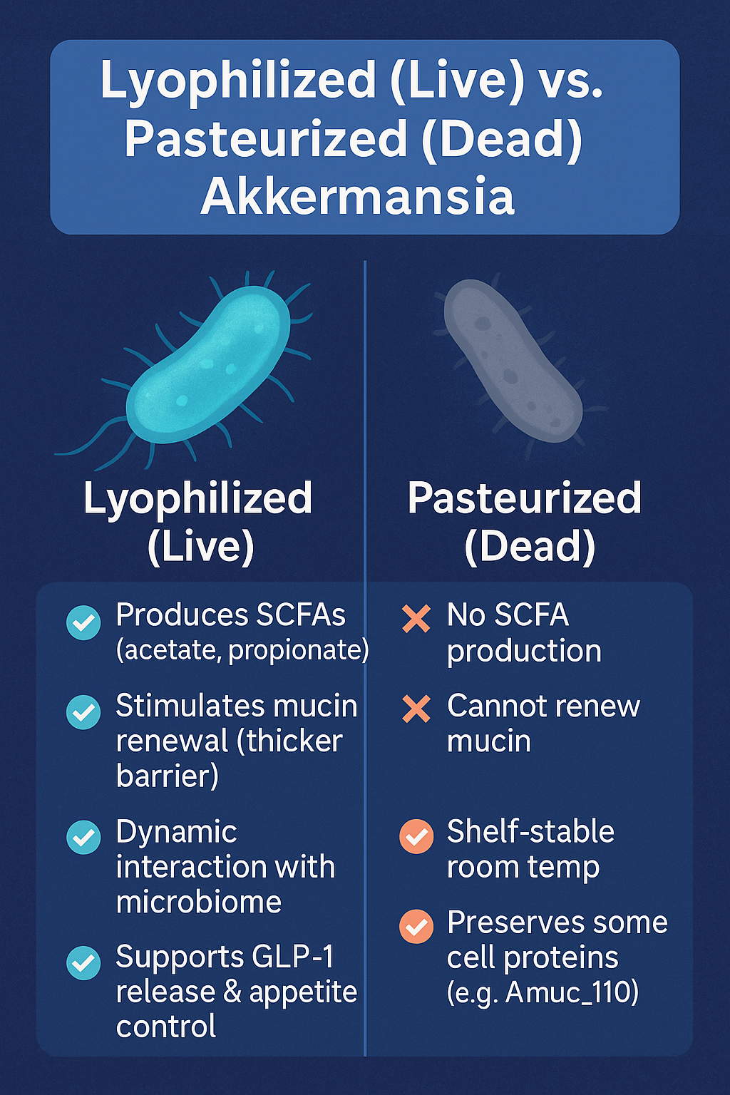 Lyophilized Akkermansia vs Pasteurized: Which Is Better?