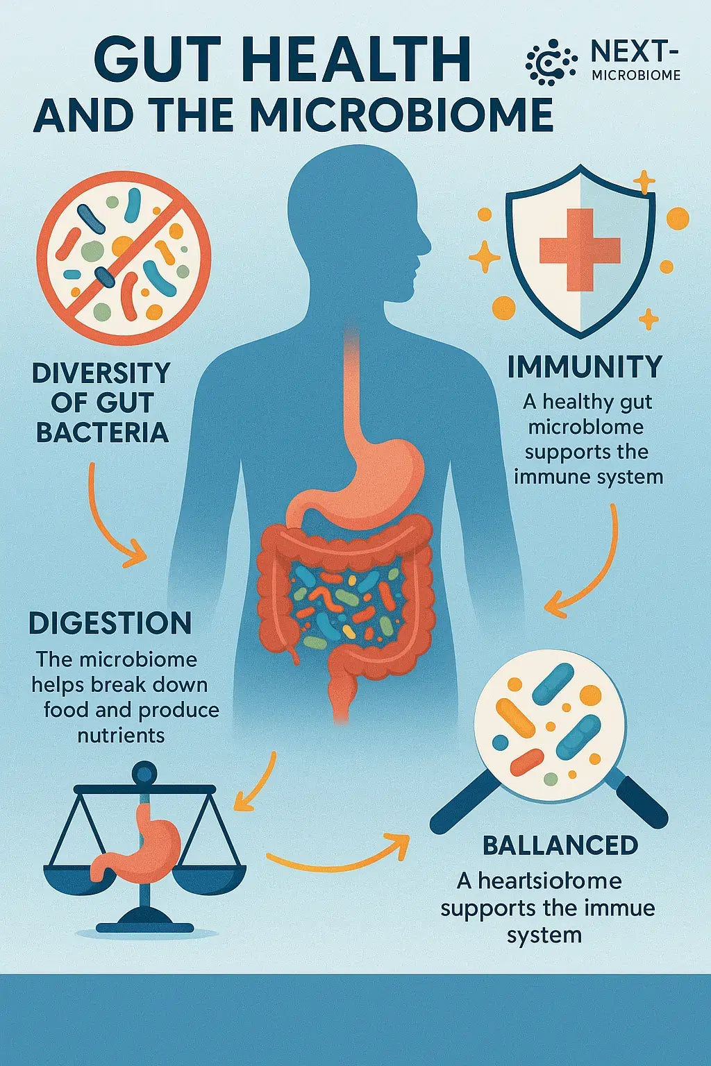 How Boost Synergy GLP-1 and Akkermansia Chewable Support the Gut