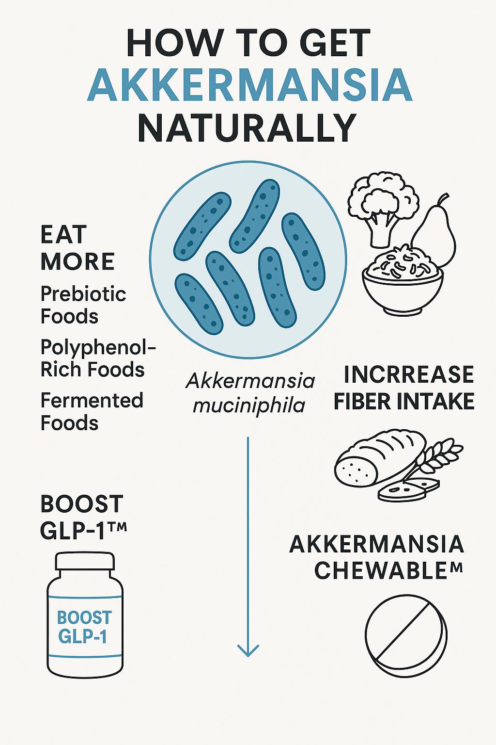 Foods that increase Akkermansia naturally—leeks, chicory, blueberries