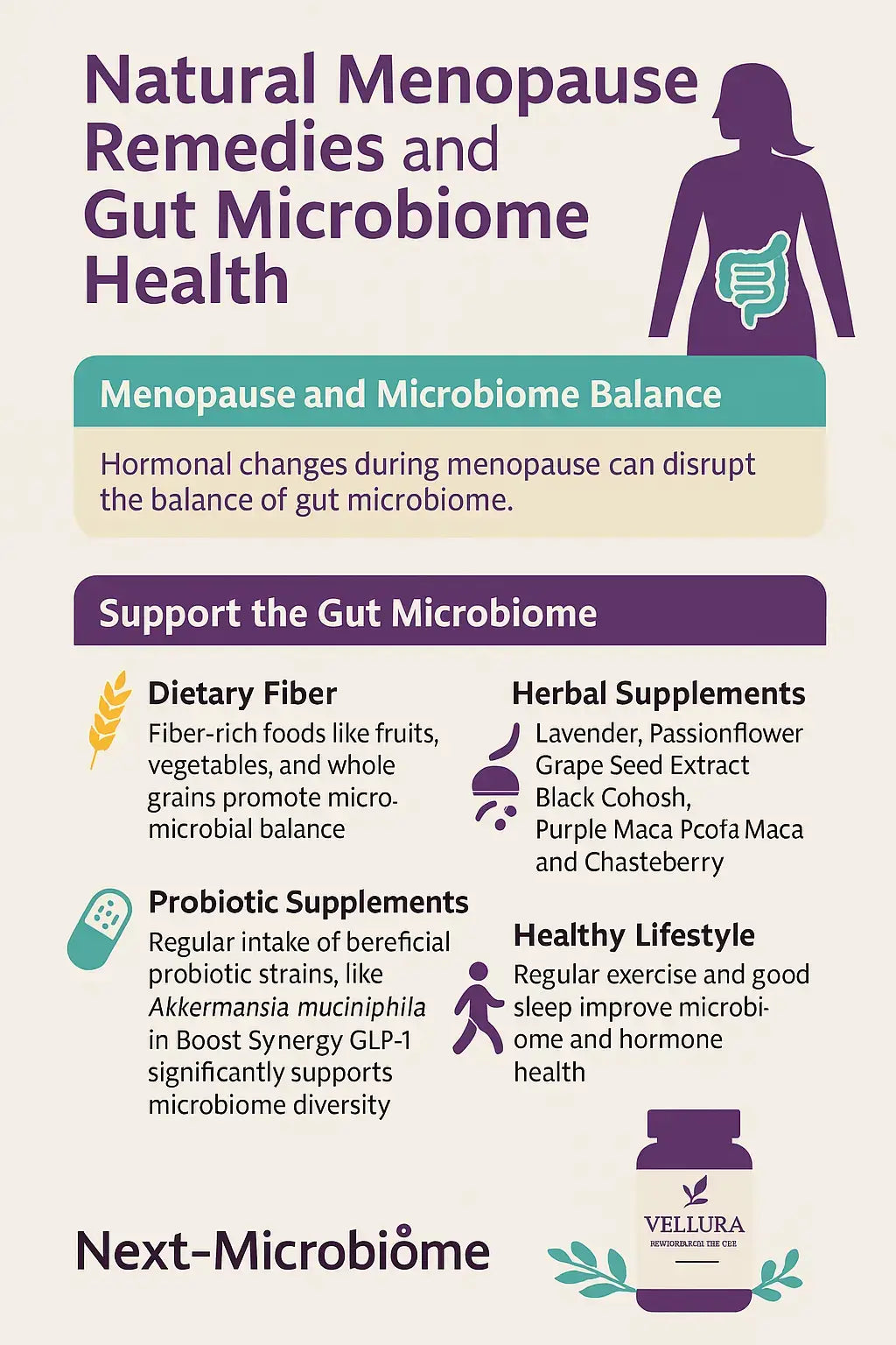 What Natural Menopause Remedies Support Gut and Microbiome Health?