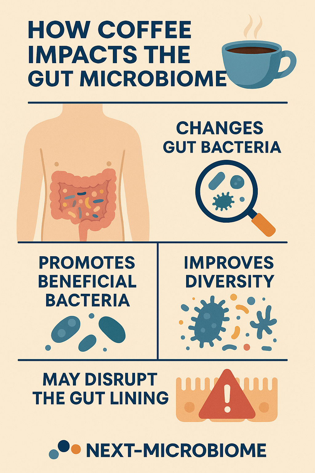 How coffee impacts the gut microbiome