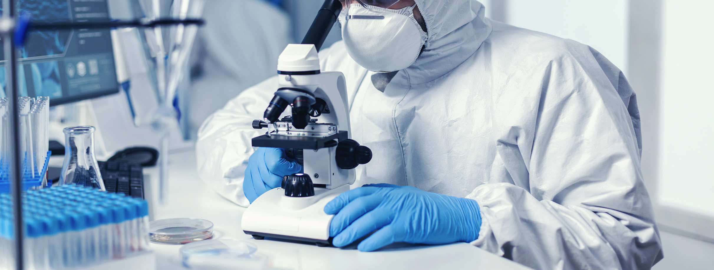 Akkermansia muciniphila’s Role in Gut Health, Immunity & Weight Management