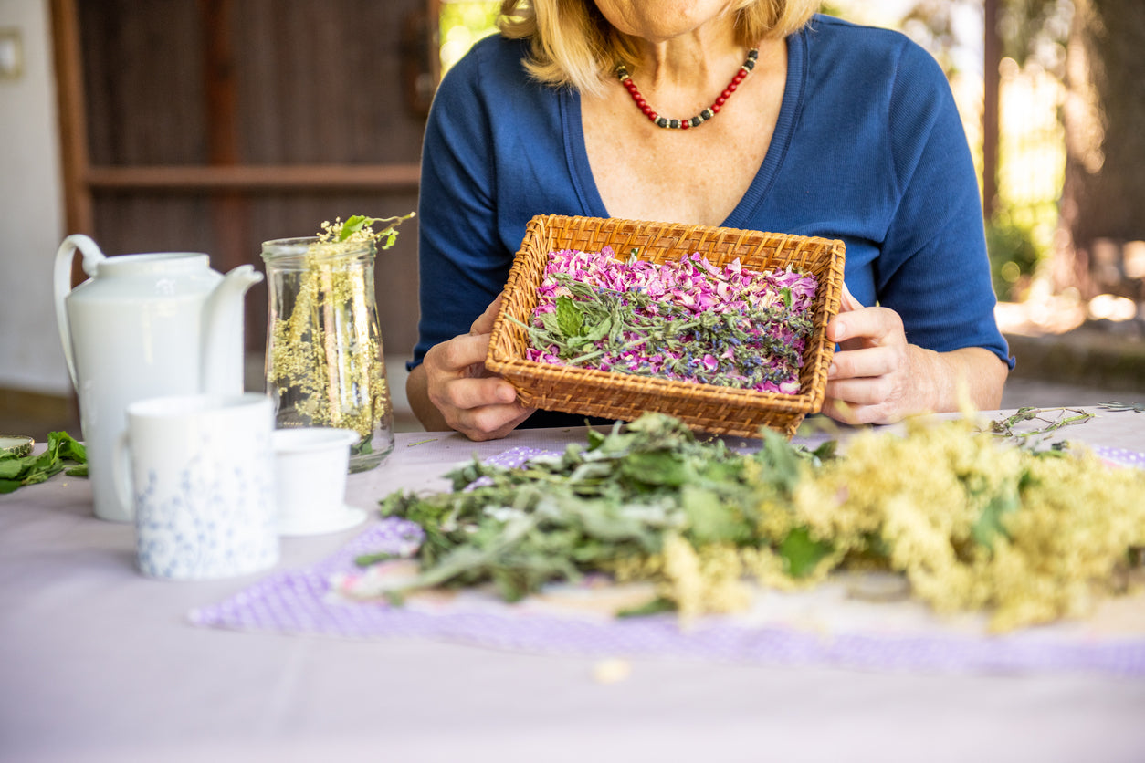 nfographic showing hot flashes, night sweats, and mood swings with herbal menopause support remedies like black cohosh, red clover, and sage.