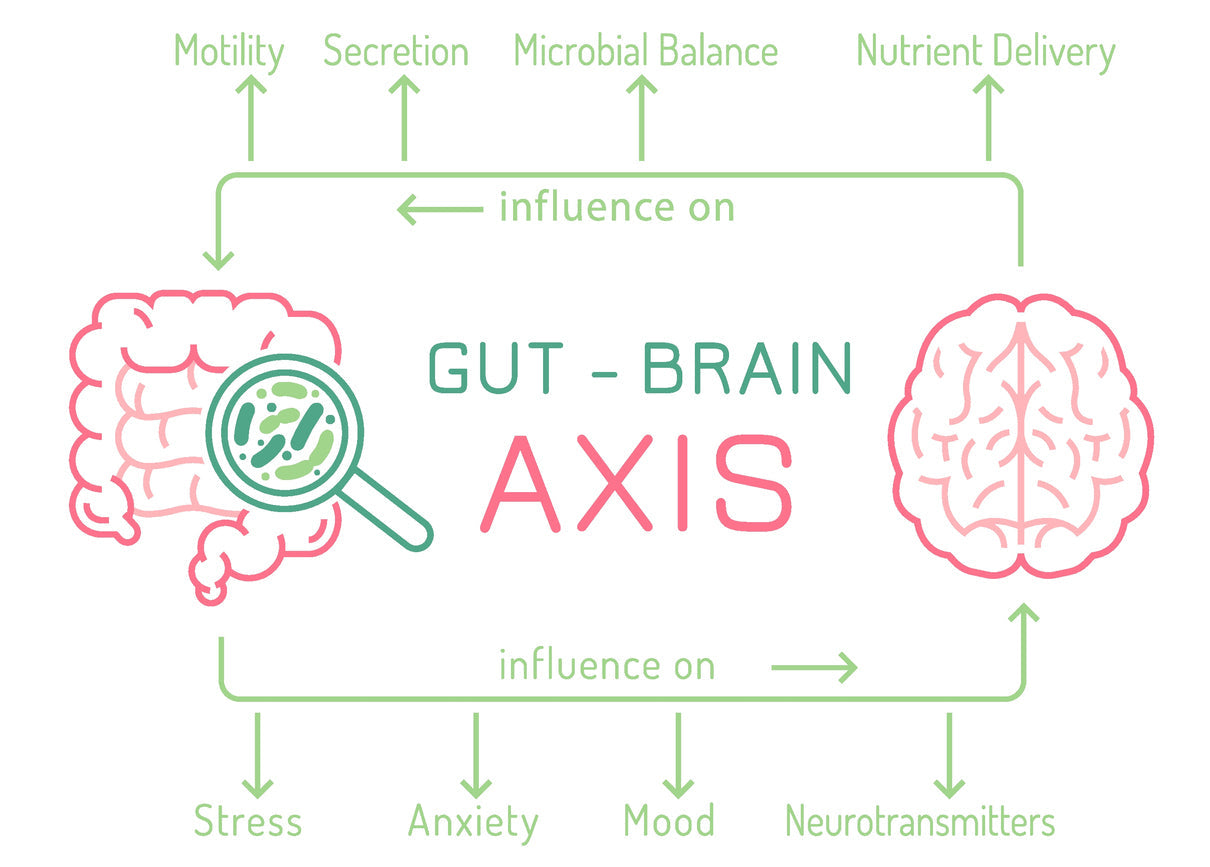 Communication pathways between the gut, microbes, immune system, and brain