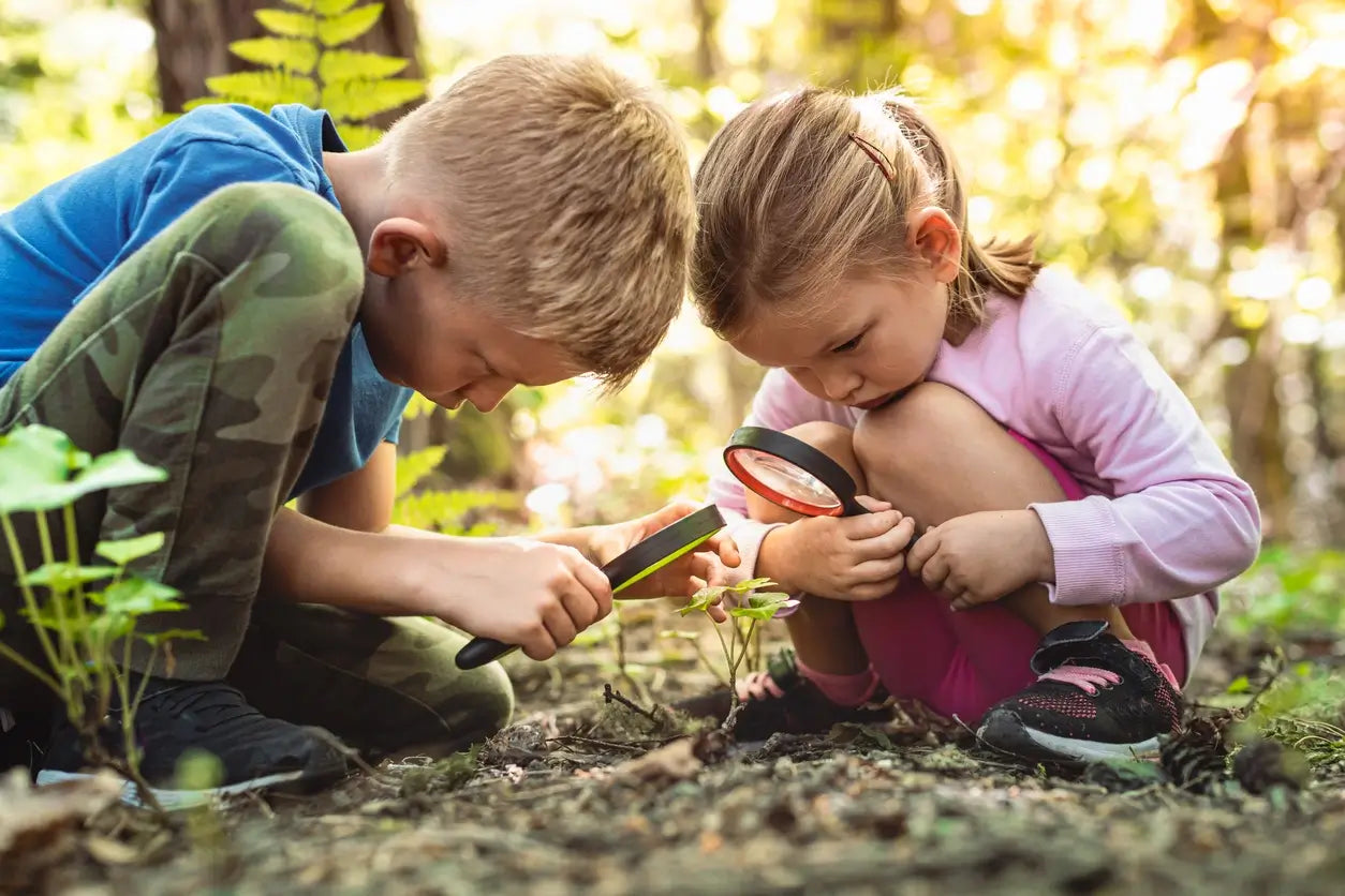 Can Akkermansia Support Healthy Gut Microbiome Development in Kids?