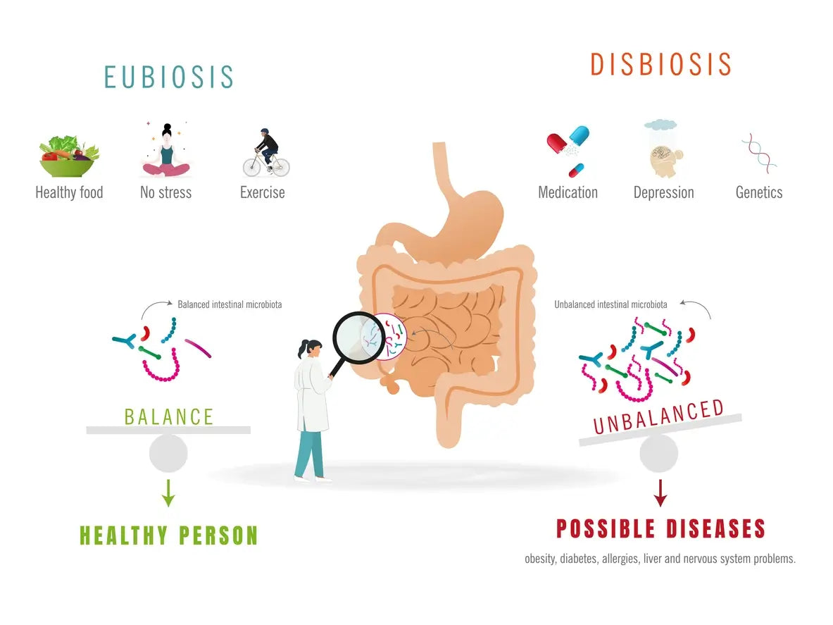 Daily Probiotic Supplements: When They Help, When They Don’t, and What Matters Most
