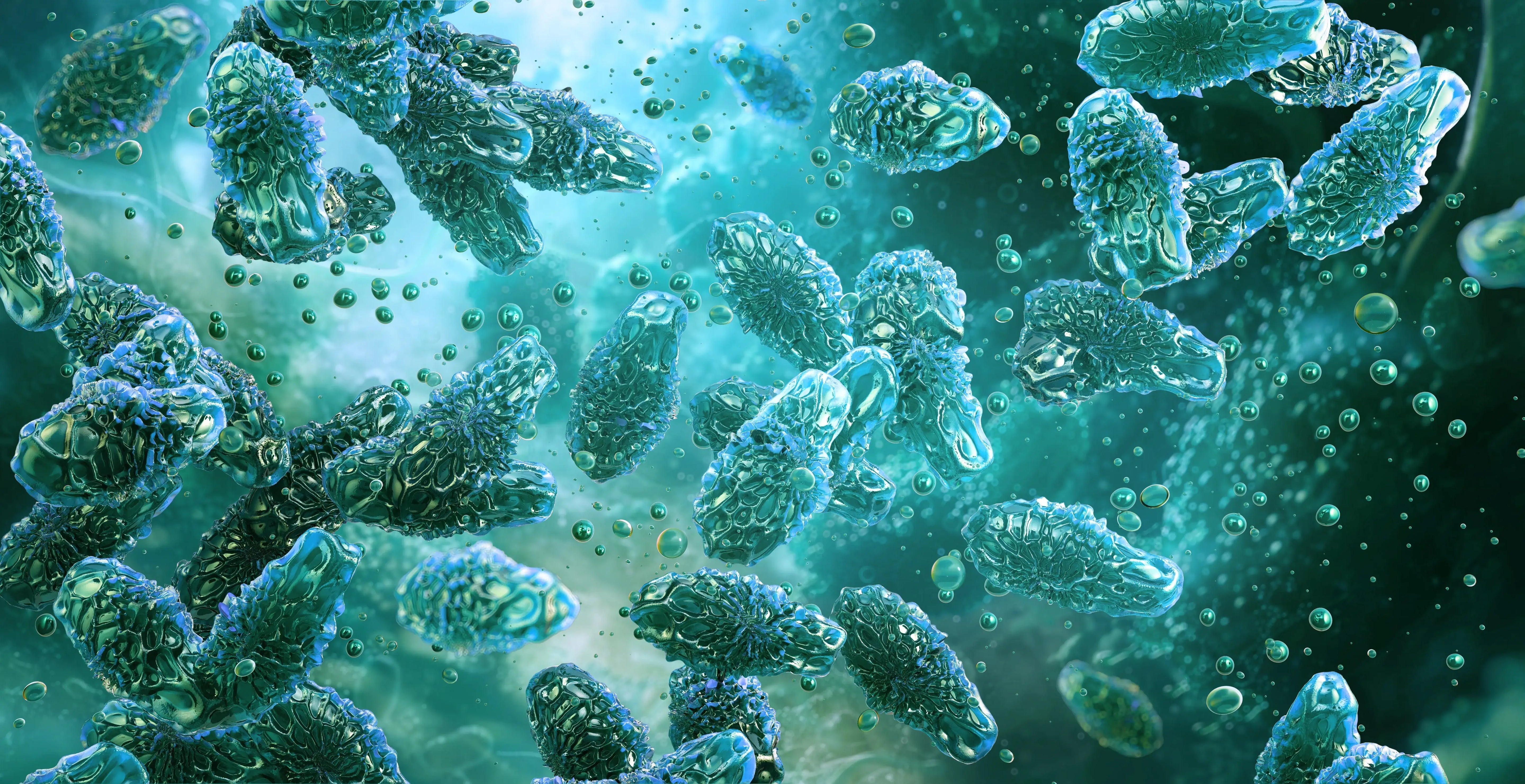 What Is Clostridium Butyricum and Its Benefits for Gut and Overall Health