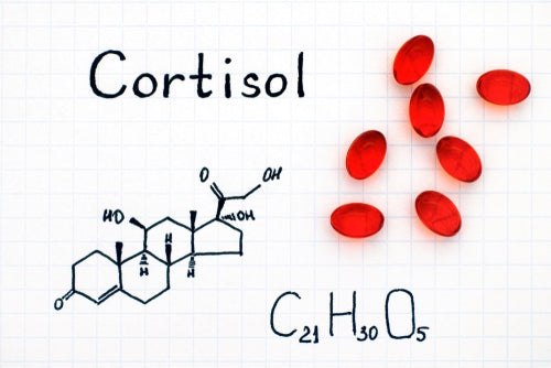Illustration explaining how cortisol levels affect stress, energy, and metabolic balance in the body