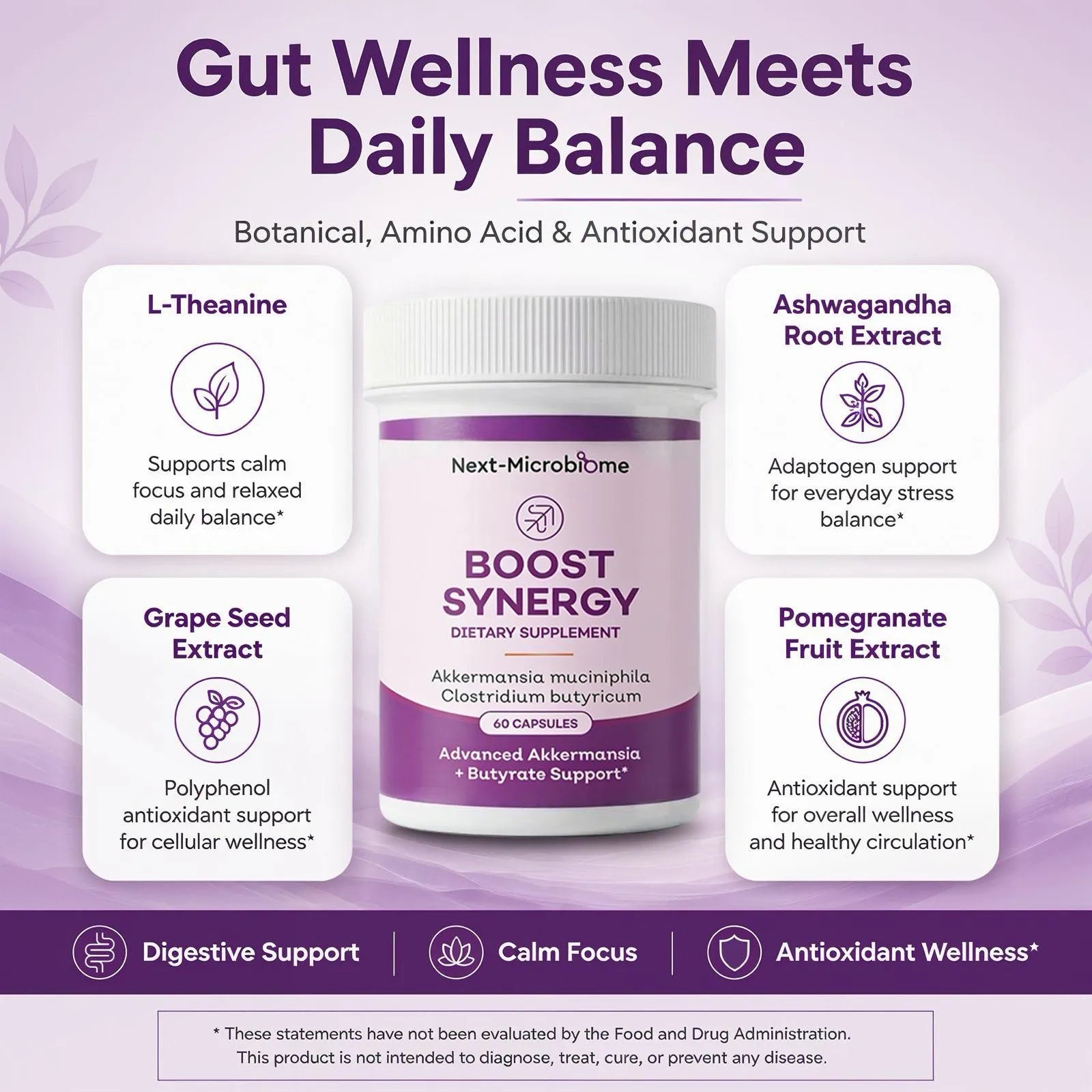 Boost Synergy dietary supplement graphic featuring botanical, amino acid, and antioxidant support ingredients for digestive support, calm focus, and antioxidant wellness
