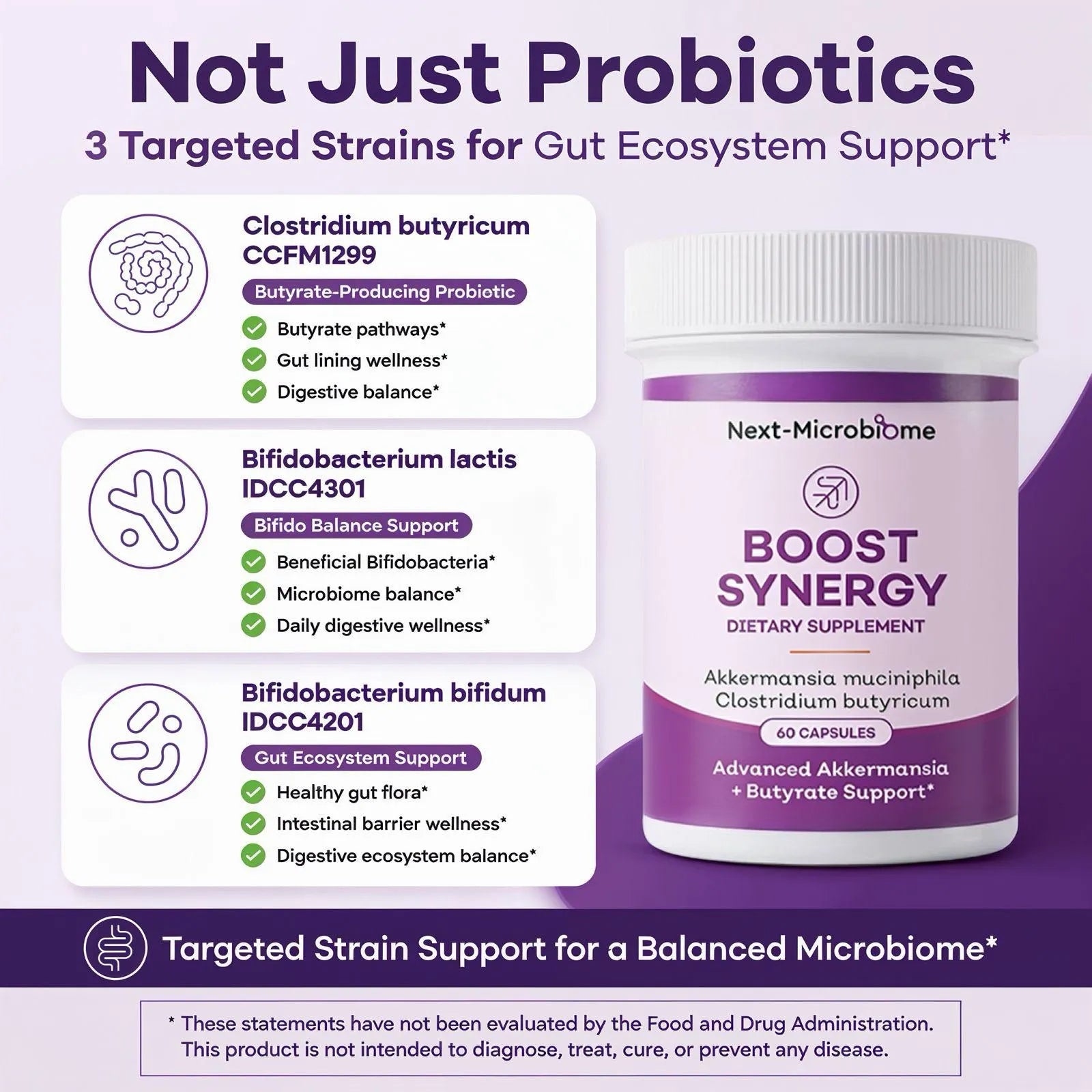 Boost Synergy dietary supplement graphic showing Clostridium butyricum, Bifidobacterium lactis, and Bifidobacterium bifidum strain support details