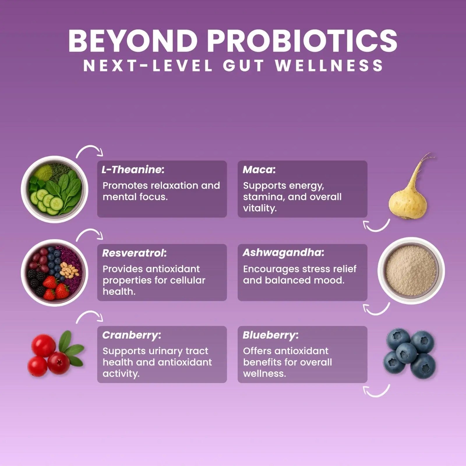 Next-Microbiome Probiotics next-level gut wellness infographic showing L-theanine, maca, resveratrol, ashwagandha, cranberry, and blueberry with health benefit descriptions