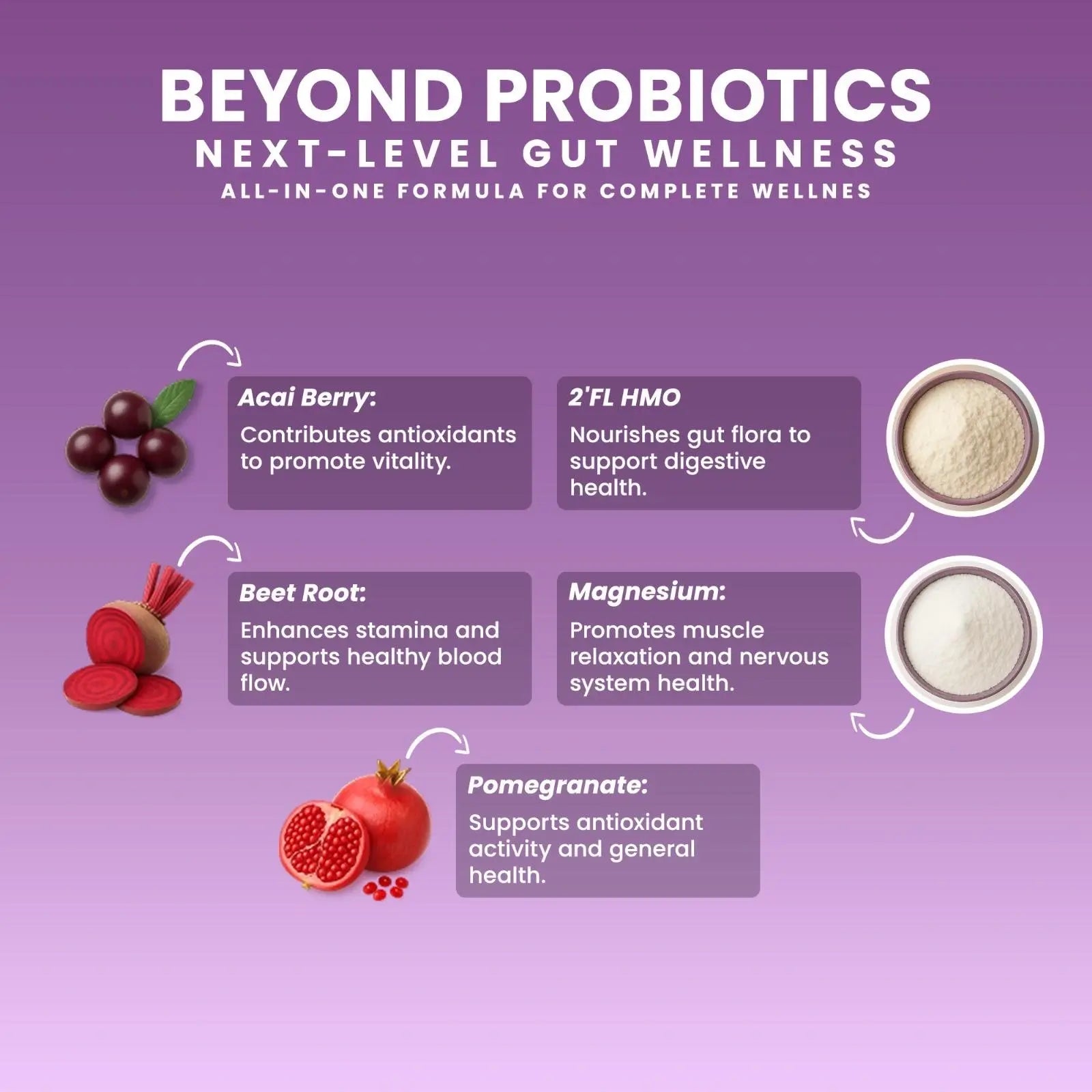 Next-Microbiome Probiotics next-level gut wellness infographic showing acai berry, 2’FL HMO, beet root, magnesium, and pomegranate with health benefit callouts