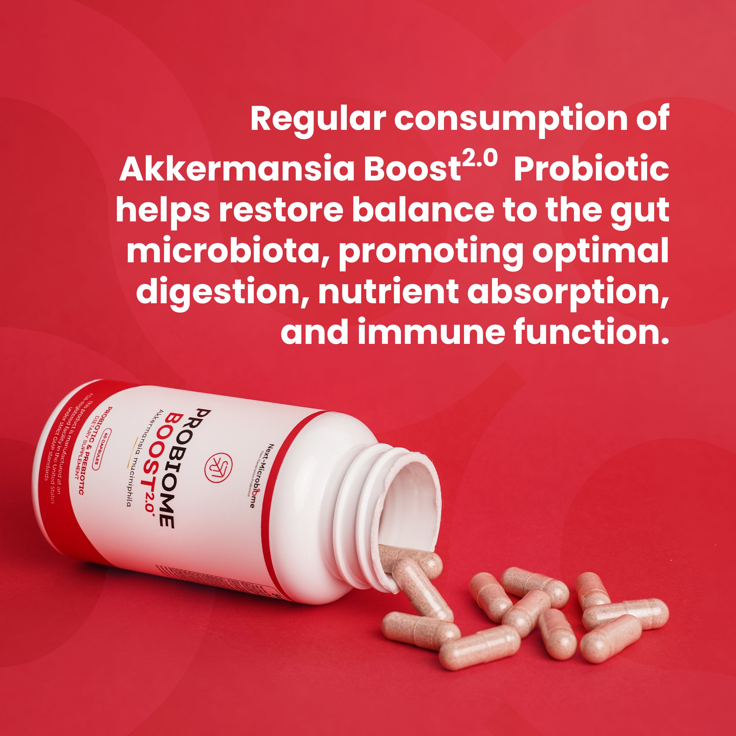 Probiome-Boost 2.0 with Akkermansia muciniphila; 60 Combo Capsules with Probiotics and Prebiotics