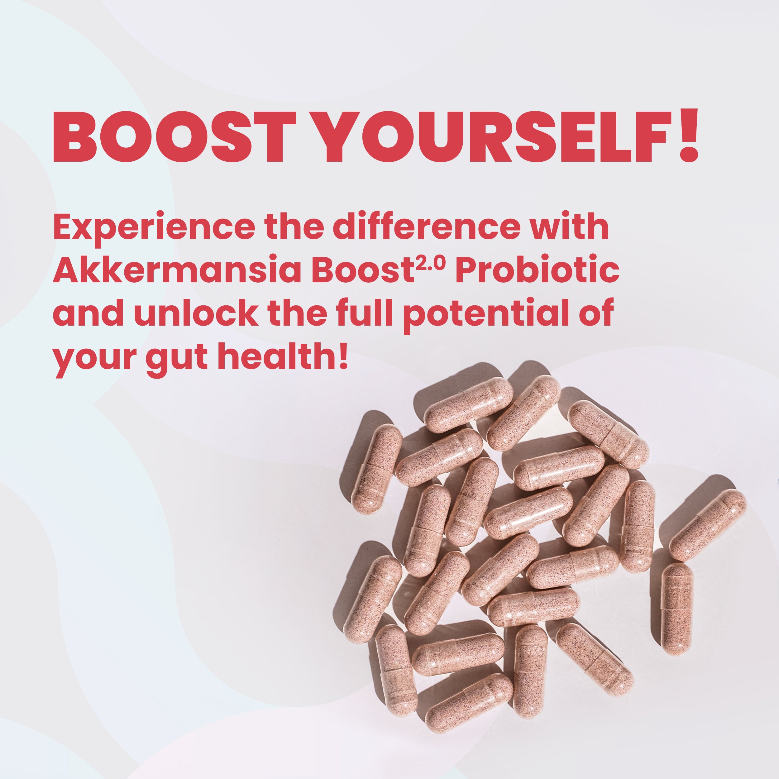 Probiome-Boost 2.0 with Akkermansia muciniphila; 60 Combo Capsules with Probiotics and Prebiotics